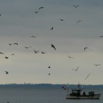 fischerbootgross