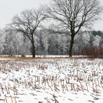 winter4gross